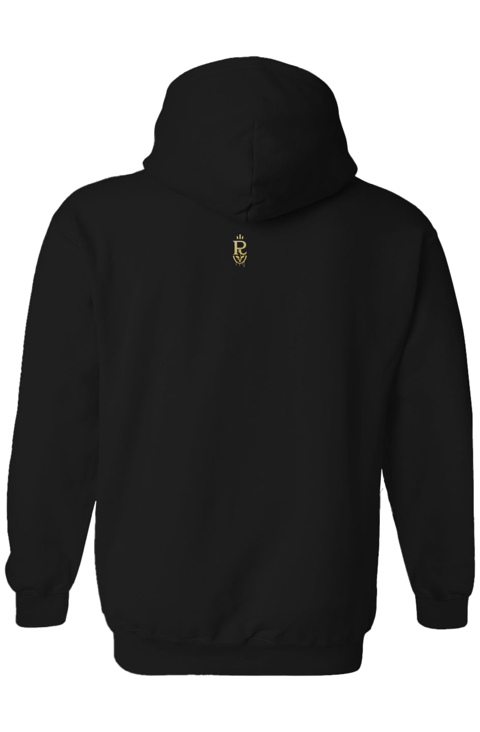 Black hoodie with EXILE SCRIPT text printed on the front and a small gold emblem centered below the hood on the back, EXILE SCRIPT streetwear hoodie.