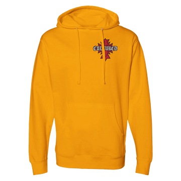 c725e26c-117f-42e2-b090-2a35bd523b50